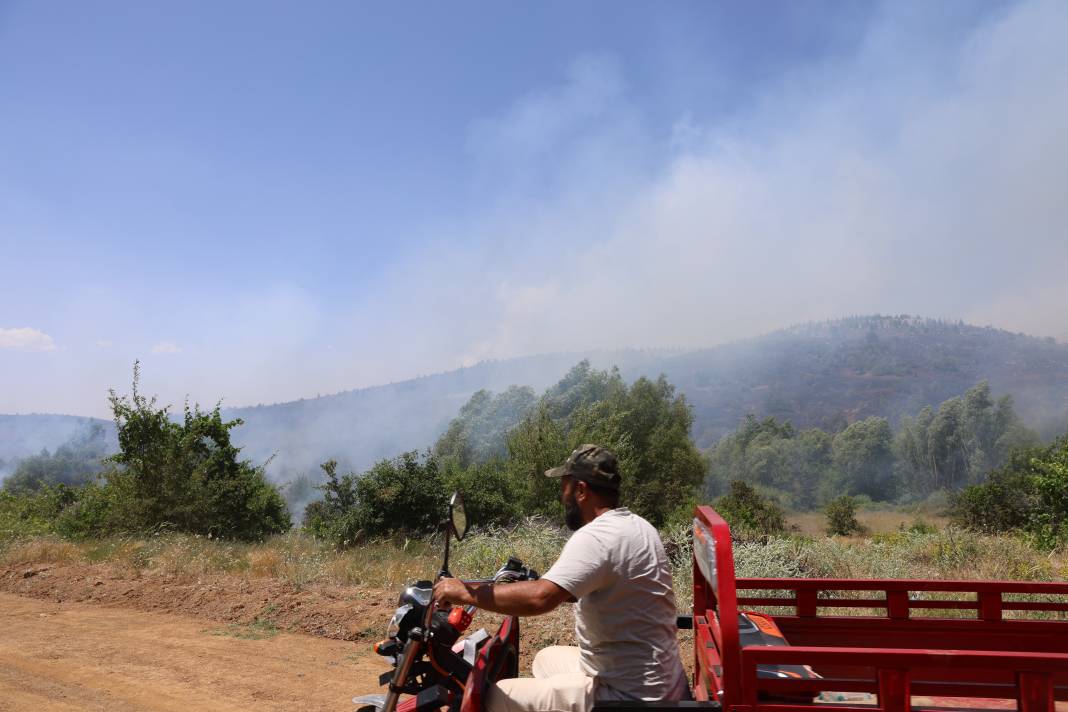 Elazığ'da orman yangını 29